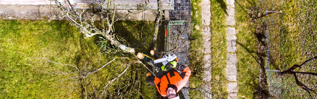 Port Stephens Tree Management | 4 The Port Hole, Salamander Bay NSW 2317, Australia | Phone: 0431 733 222