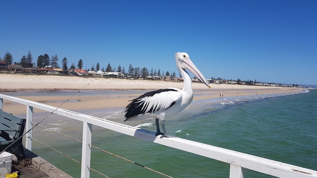 Grange Beach | park | Grange SA 5022, Australia