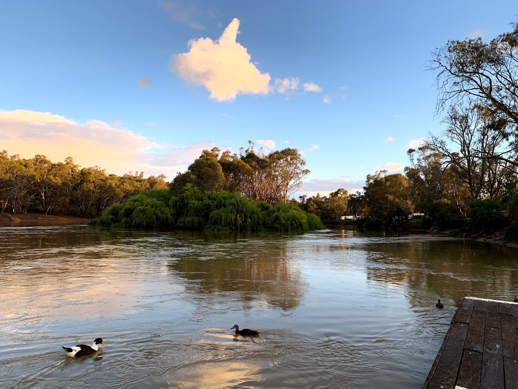 The Giant Murray Cod | 139 Curlewis St, Swan Hill VIC 3585, Australia | Phone: (03) 5036 2333