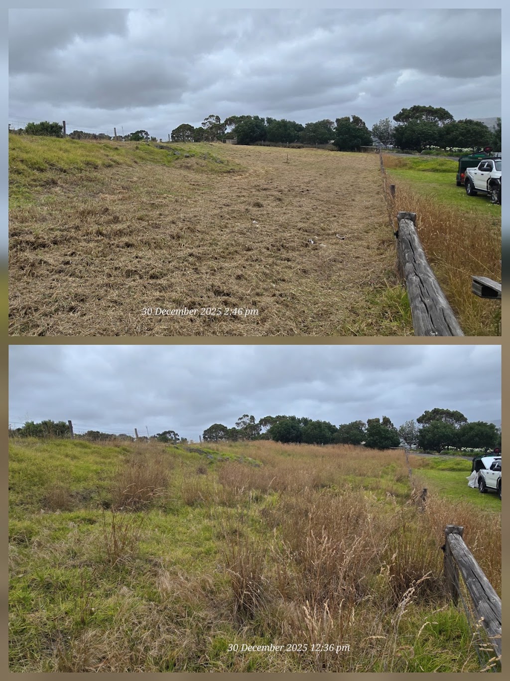 Jims Mowing & Garden Care | 1971 Jervois Rd, Jervois SA 5259, Australia | Phone: 0421 038 600