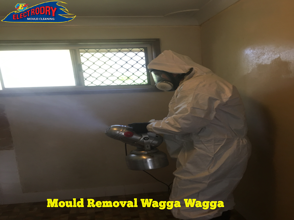 Electrodry Mould Removal Wagga Wagga | car dealer | 115 Hammond Ave, East Wagga Wagga NSW 2650, Australia | 1300132713 OR +61 1300 132 713