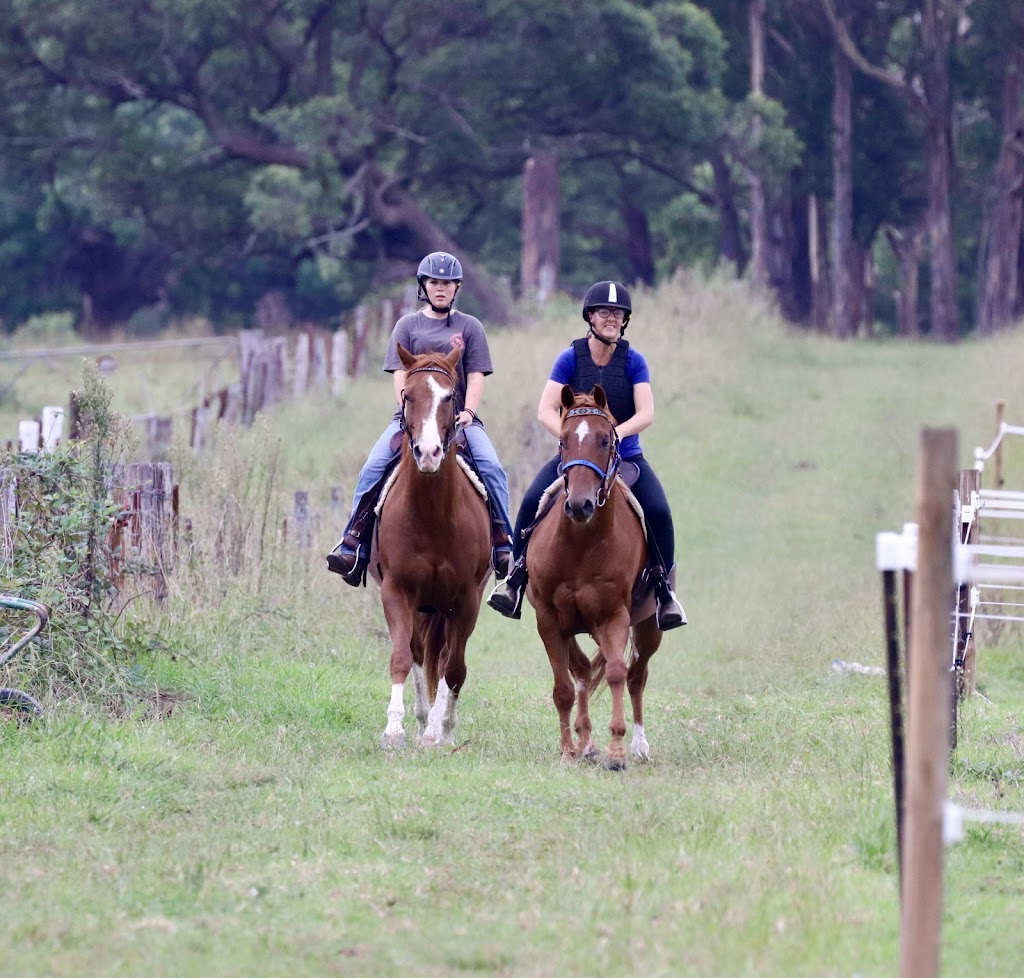 Braemoor Equestrian | 95 Great Southern Rd, Bargo NSW 2574, Australia | Phone: 0488 550 223