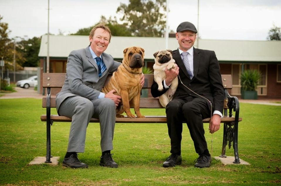 Petherton Park Boarding Kennels and Cattery | 28 Spencer St, MacDonald Park SA 5121, Australia | Phone: (08) 8284 7393