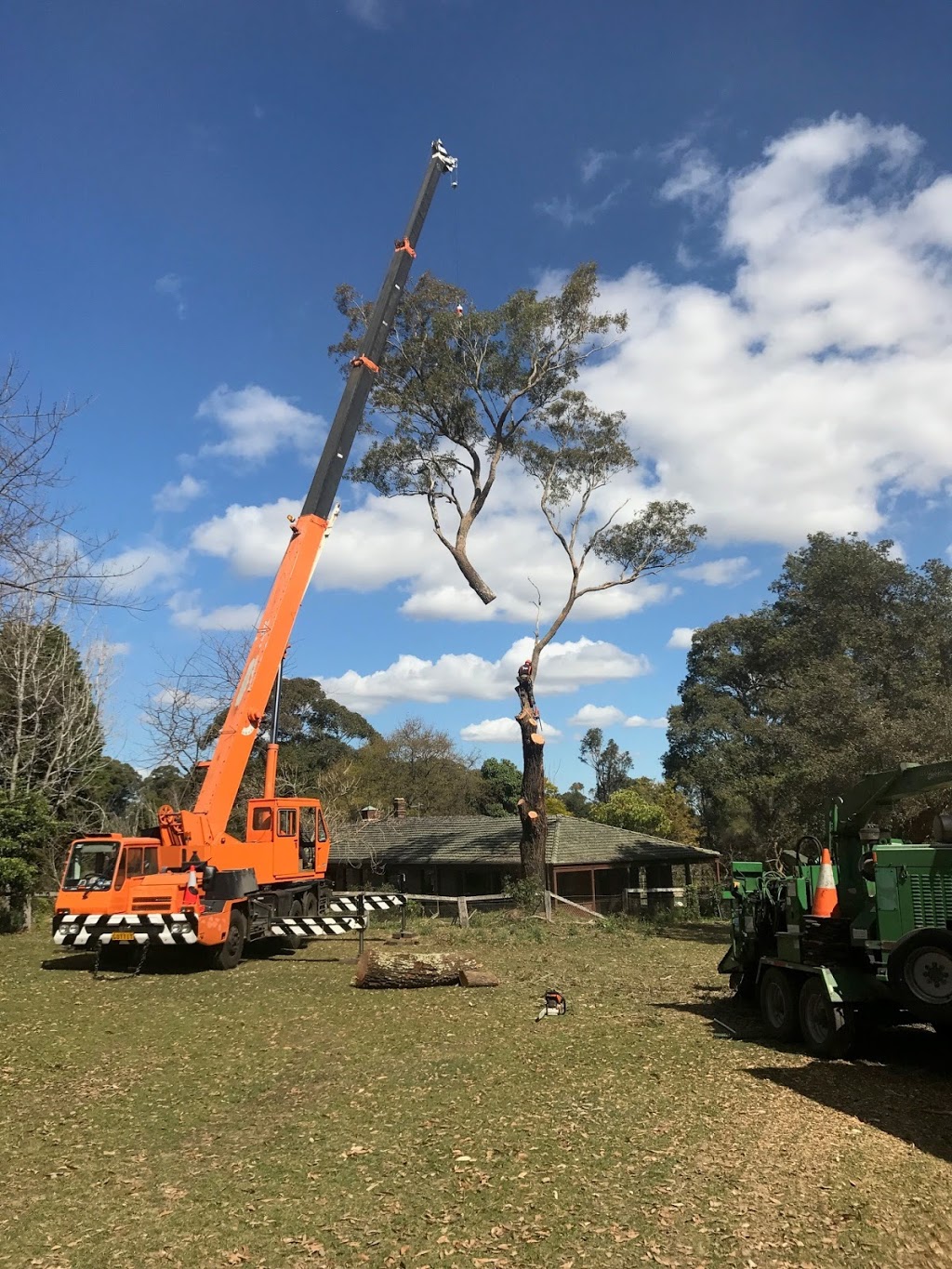 North West Sydney Tree & Stump Removal | 12 Bull Ridge Rd, East Kurrajong NSW 2758, Australia | Phone: 0403 736 133