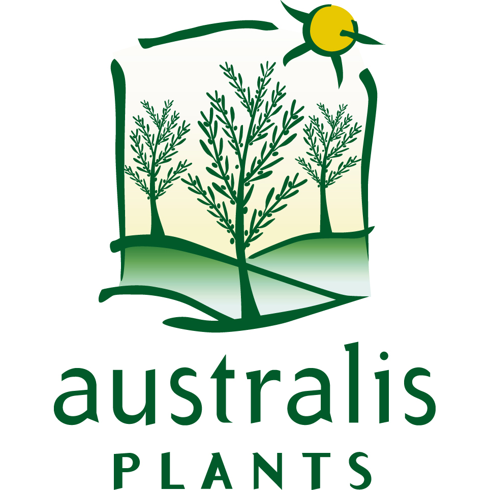 Australis Plants |  | 43 Helidon Dip Rd, Helidon QLD 4344, Australia | 0746968792 OR +61 7 4696 8792