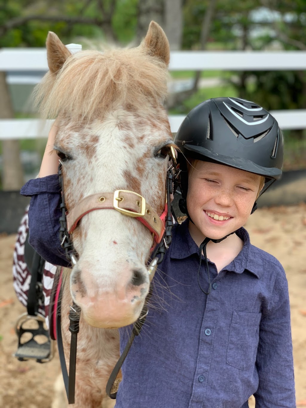 Equine Connect | travel agency | 8 Andersen Rd, Mooloolah Valley QLD 4553, Australia | 0478661826 OR +61 478 661 826