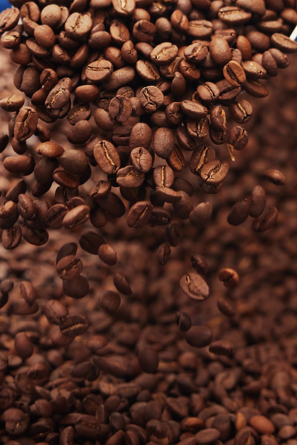 Silva Coffee Roastery HQ | 3/21 Britannia Creek Rd, Wesburn VIC 3799, Australia | Phone: (03) 5967 2987