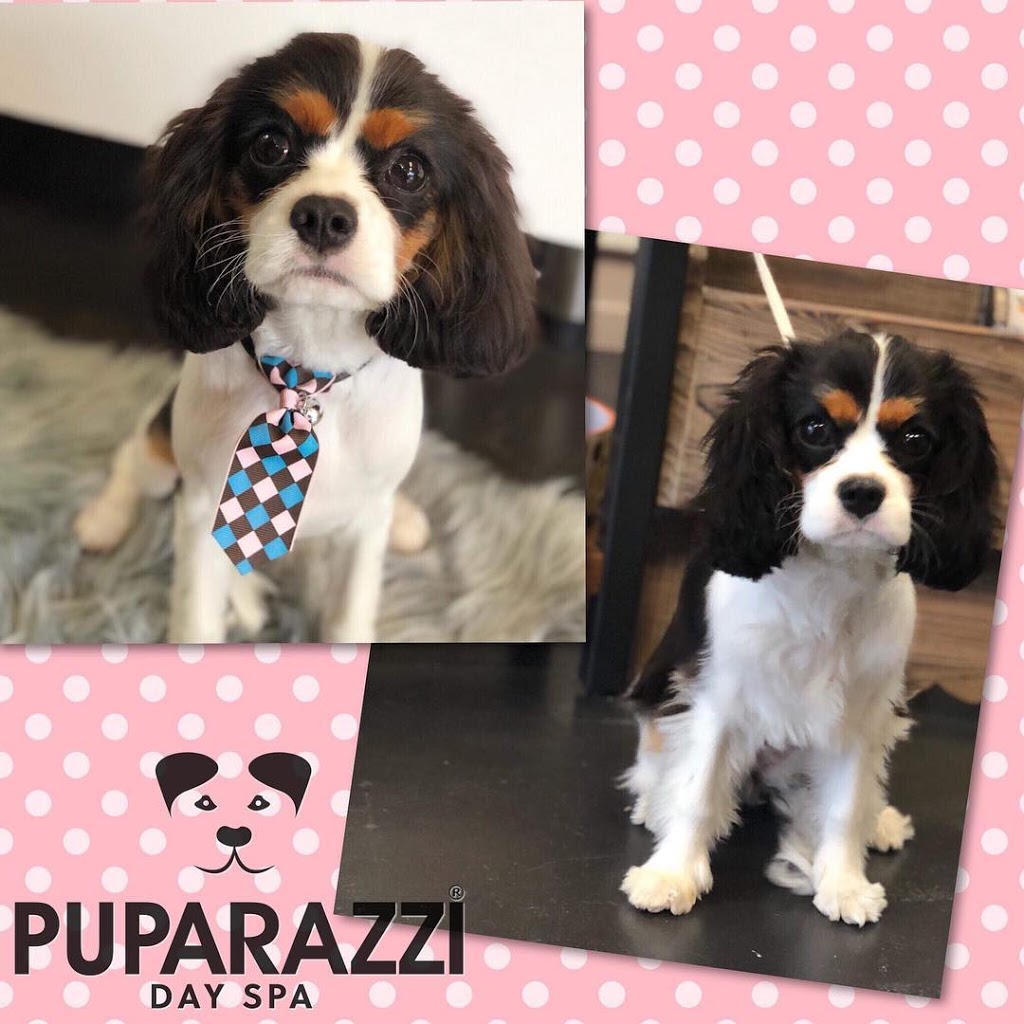 Puparazzi Day Spa | 972 Mate St, Albury NSW 2640, Australia | Phone: (02) 6025 5700