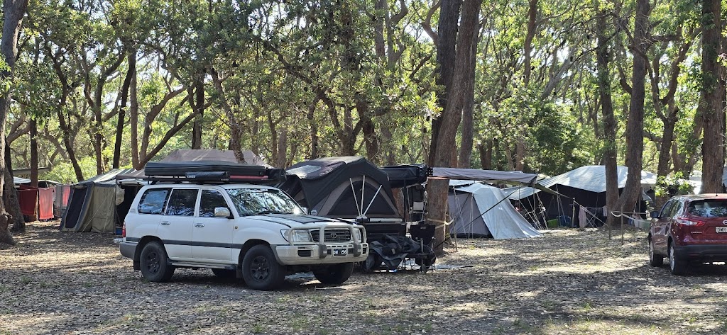 Burrill Pines Bush Camping | Bush Camp Rd, Burrill Lake NSW 2539, Australia | Phone: (02) 4455 1224
