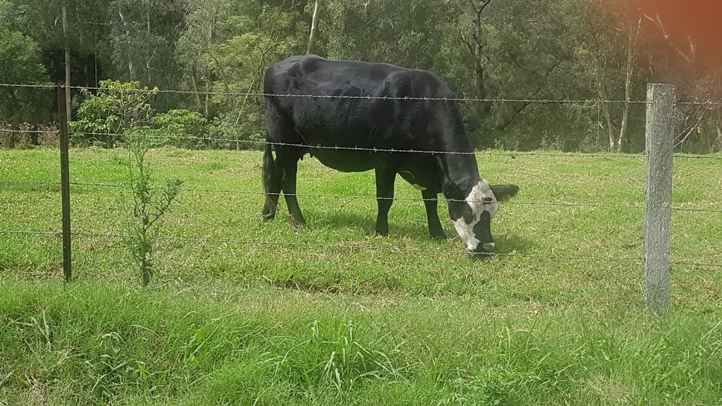 Colo Meroo Campground | campground | Colo Meroo Access Track, Upper Colo NSW 2756, Australia | 0245882400 OR +61 2 4588 2400