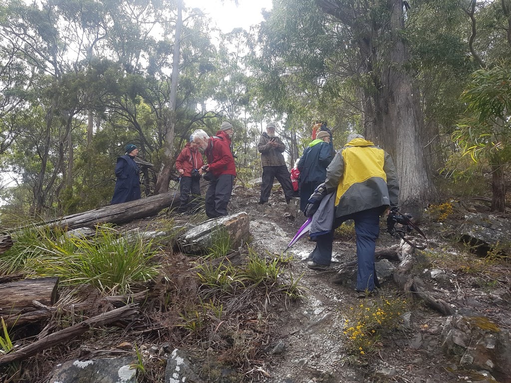 Fernglade Reserve Lookout | 137 Rutherford Rd, Stowport TAS 7321, Australia