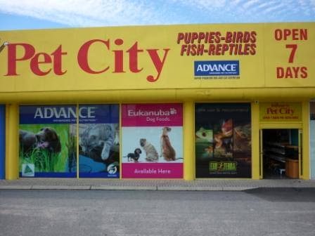 Pet City Morley | 1/136 Russell St, Morley WA 6062, Australia | Phone: (08) 9276 5662