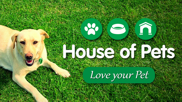 House Of Pets | pet store | 431 Warringah Rd, Frenchs Forest NSW 2086, Australia | 1300401400 OR +61 1300 401 400