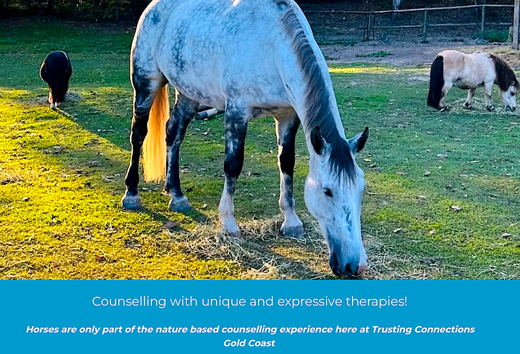 Trusting Connections Counselling | 1 Idolou Ct, Mudgeeraba QLD 4213, Australia | Phone: 0411 445 038