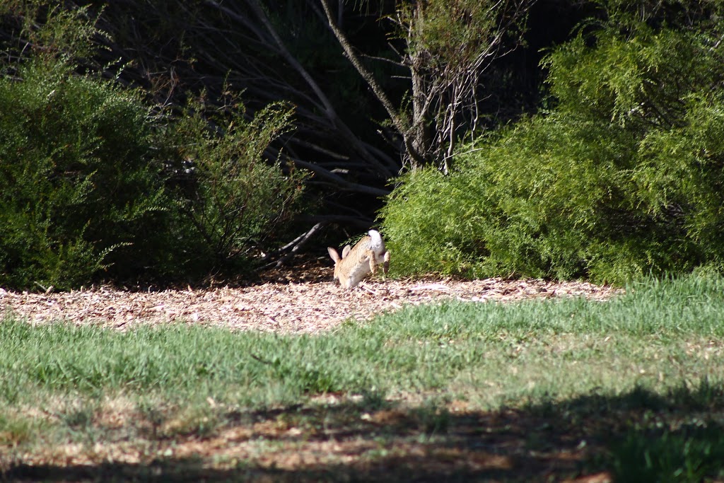 Mun Reserve | park | Thomastown VIC 3074, Australia