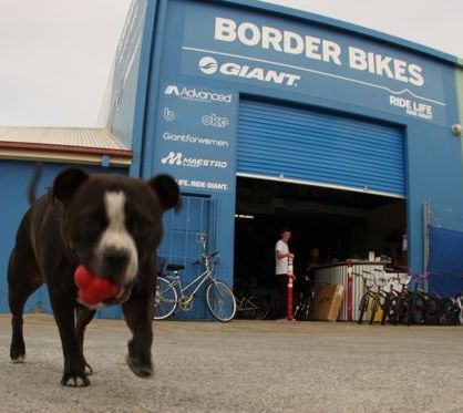 Border Bikes | bicycle store | 3/44 Greenway Dr, Tweed Heads South NSW 2486, Australia | 0755131057 OR +61 7 5513 1057