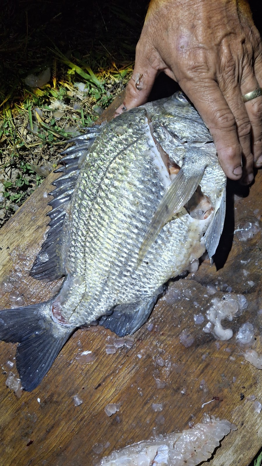 The Block Camping - Mt Pelion | 62 Landing Rd, Mount Pelion QLD 4741, Australia | Phone: 0419 787 288