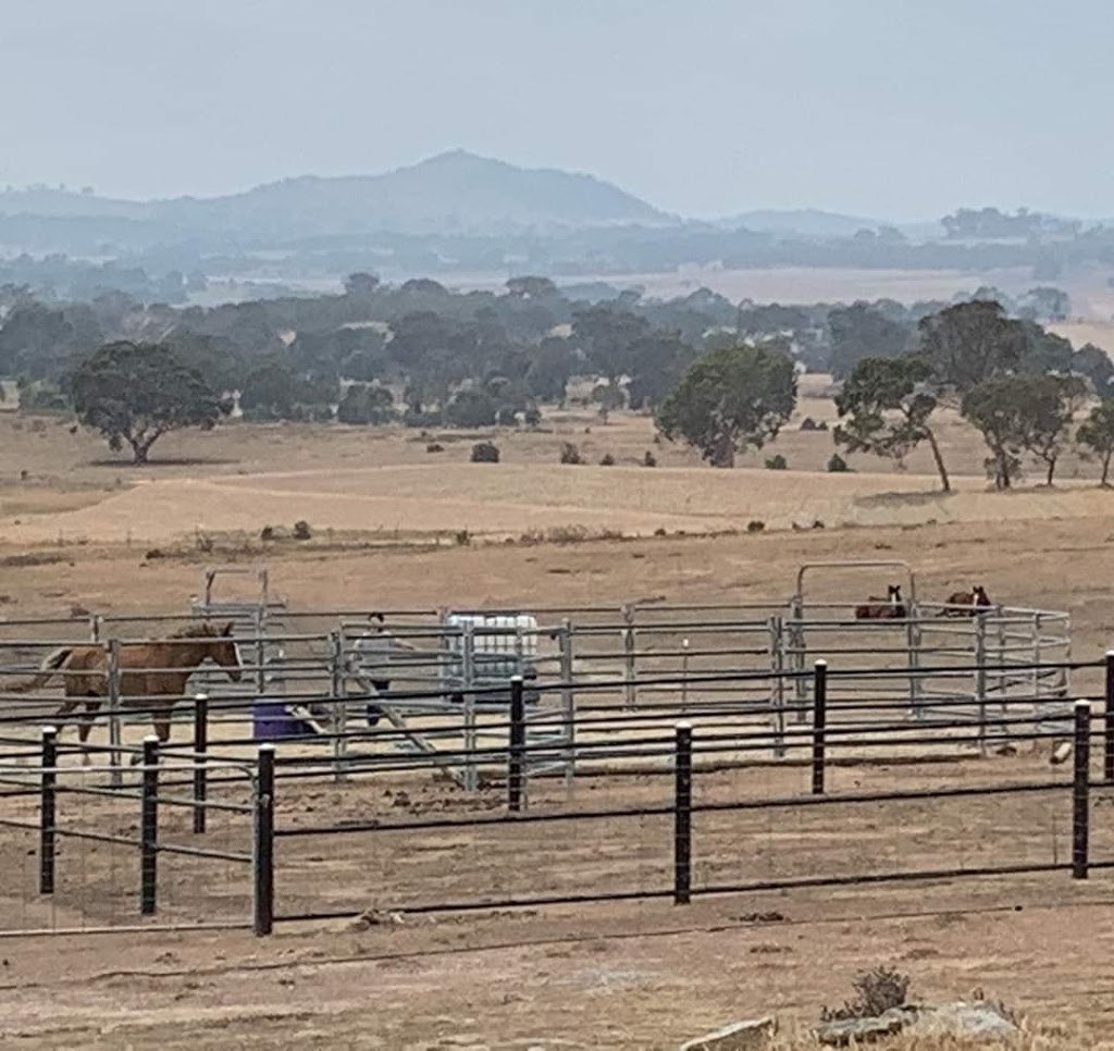 Heavy Horse Heaven | 141, Elms Rd, Lade Vale NSW 2581, Australia | Phone: 0423 846 113