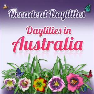 Decadent Daylilies Daylily Nursery |  | 507 Piggins Rd, Hopefield NSW 2646, Australia | 0260350529 OR +61 2 6035 0529