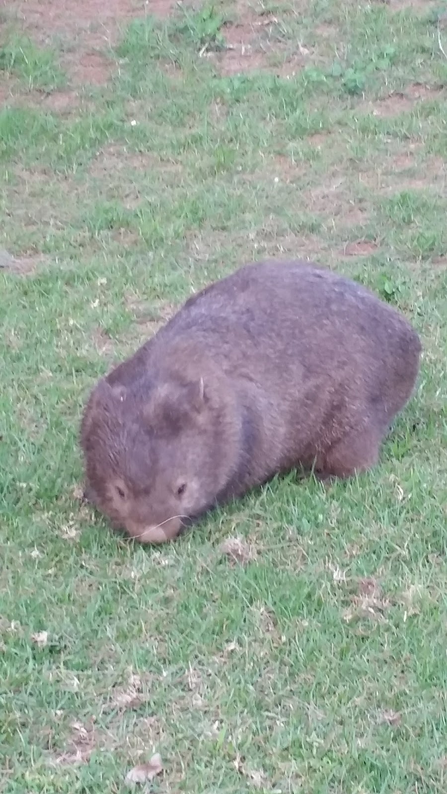 KANGAROO VALLEY FARMERS MARKETS | 165 Moss Vale Rd, Kangaroo Valley NSW 2577, Australia | Phone: (02) 4465 1355