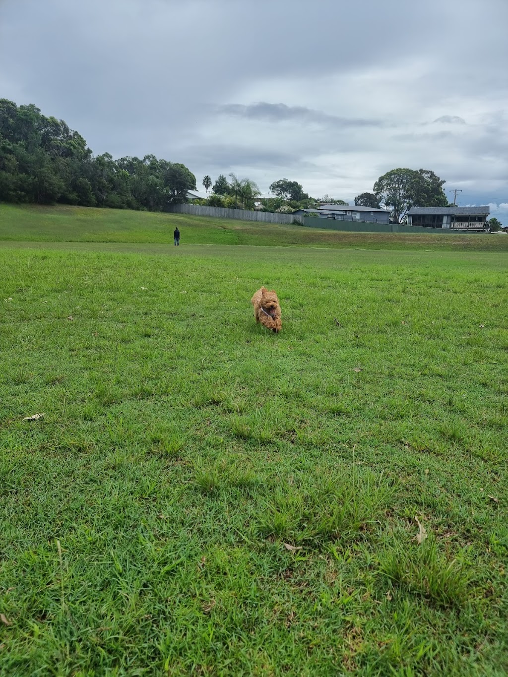 Eastern Road Oval | Killarney Vale NSW 2261, Australia | Phone: (02) 4350 5555