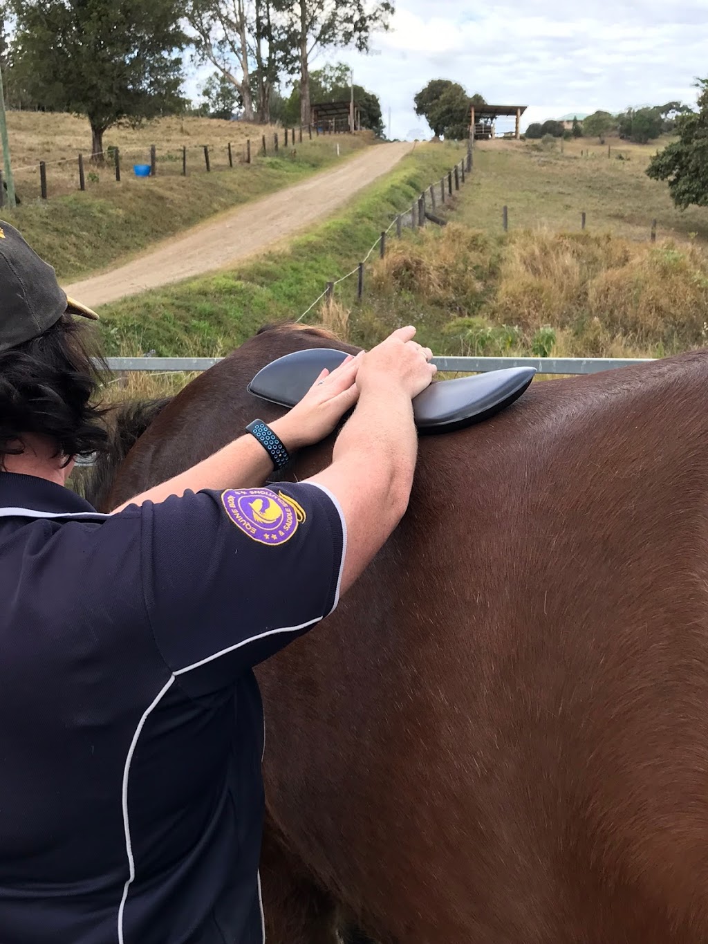 Inline Equine | 22 Balmoral Rd, Draper QLD 4520, Australia | Phone: 0407 110 400