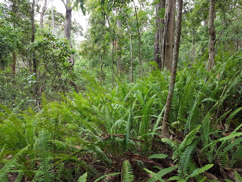 Manorina, DAguilar National Park | park | 2283 Mount Nebo Rd, Mount Nebo QLD 4520, Australia