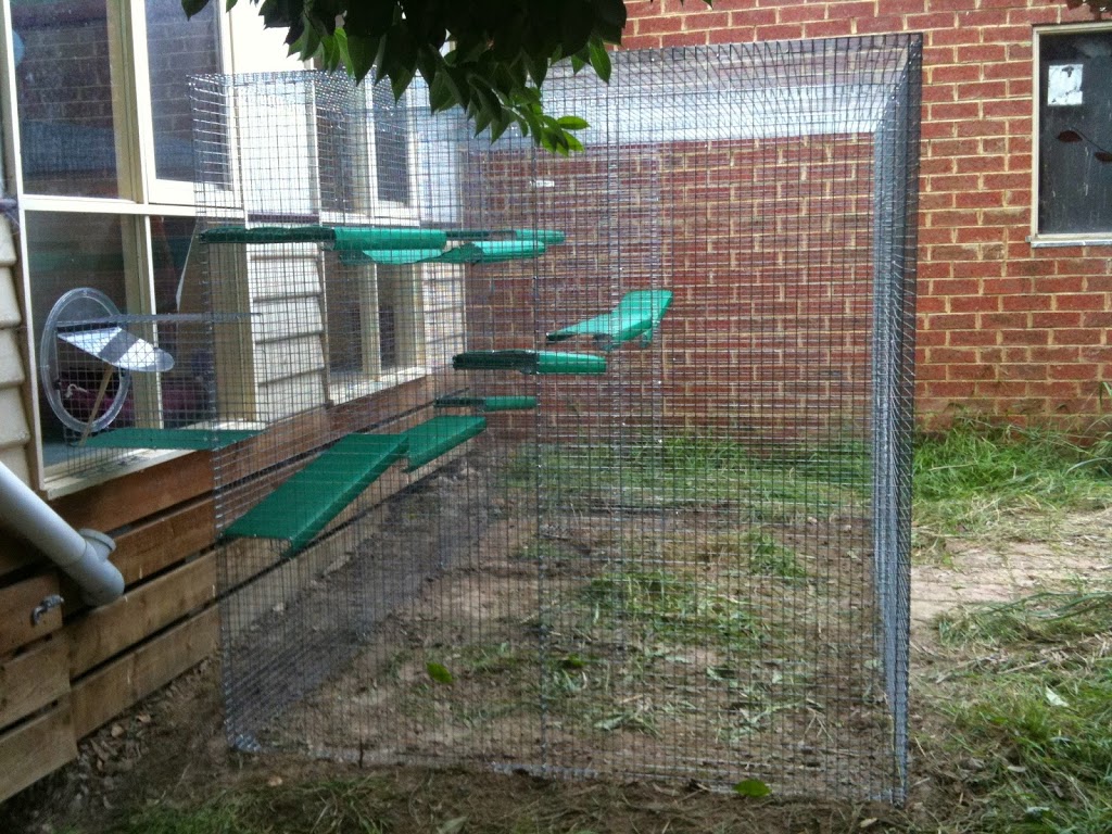 Cat Kingdom Enclosures | 312 Warburton Highway, Wandin North, Melbourne VIC 3139, Australia | Phone: 0425 711 723