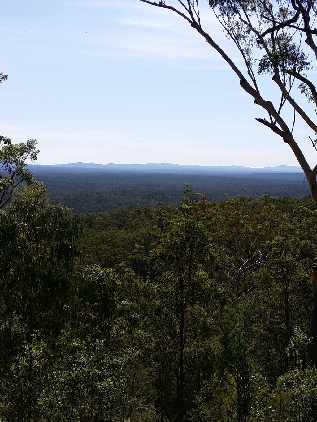 Gibberagee | park | New South Wales, Australia