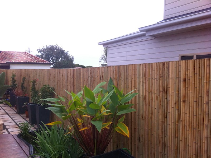 Bamboo Habitat. warehouse | 200 Parkes St, Helensburgh NSW 2508, Australia | Phone: (02) 4294 1385