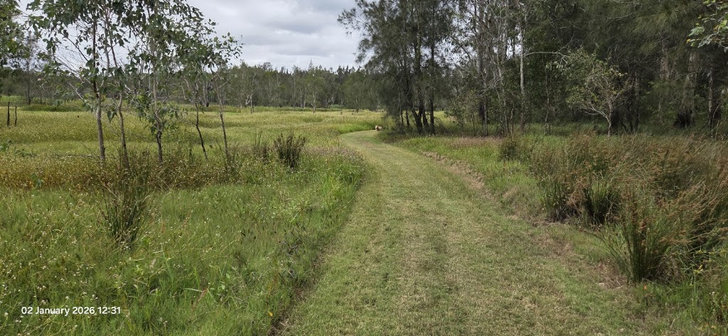 Conservation Camping at the Creek | Shark Creek Rd, Tyndale NSW 2463, Australia | Phone: 0452 199 680