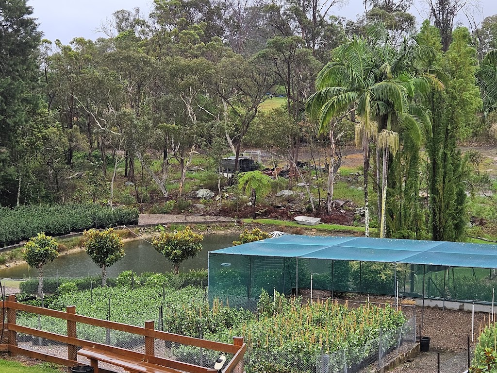 Flora Nursery | 73a Pitt Town Rd, Kenthurst NSW 2156, Australia | Phone: (02) 9654 9670
