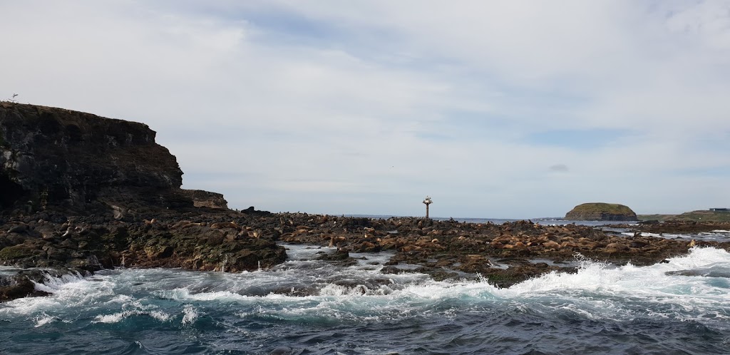 Seal Rocks | Victoria, Australia