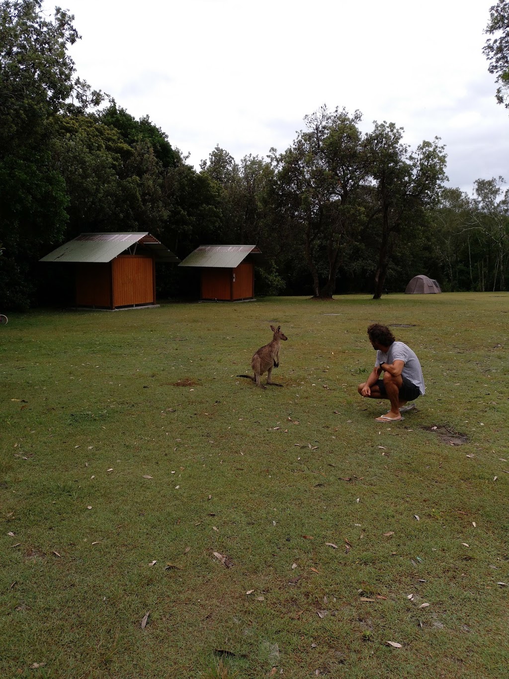 Queens Lake State Conservation Area | park | Bonny Hills NSW 2445, Australia