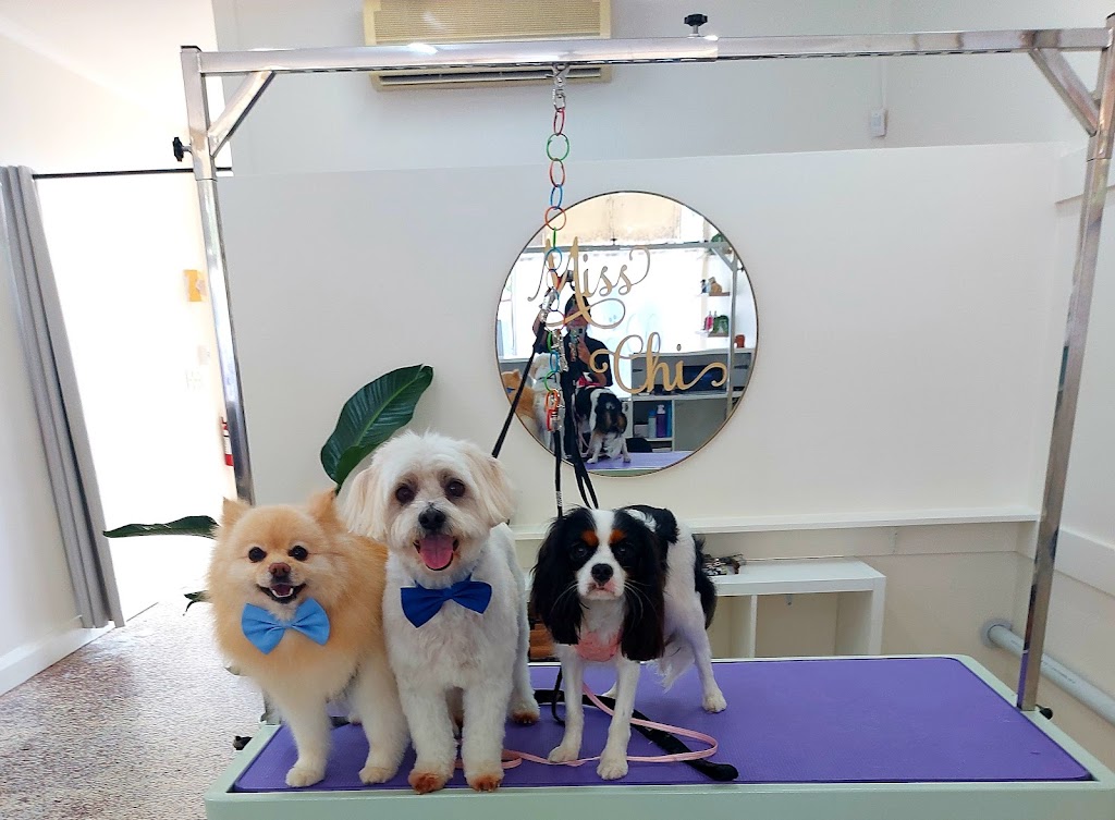 Miss Chi Canine Salon |  | 1 Maleny St, Landsborough QLD 4550, Australia | 0482171171 OR +61 482 171 171