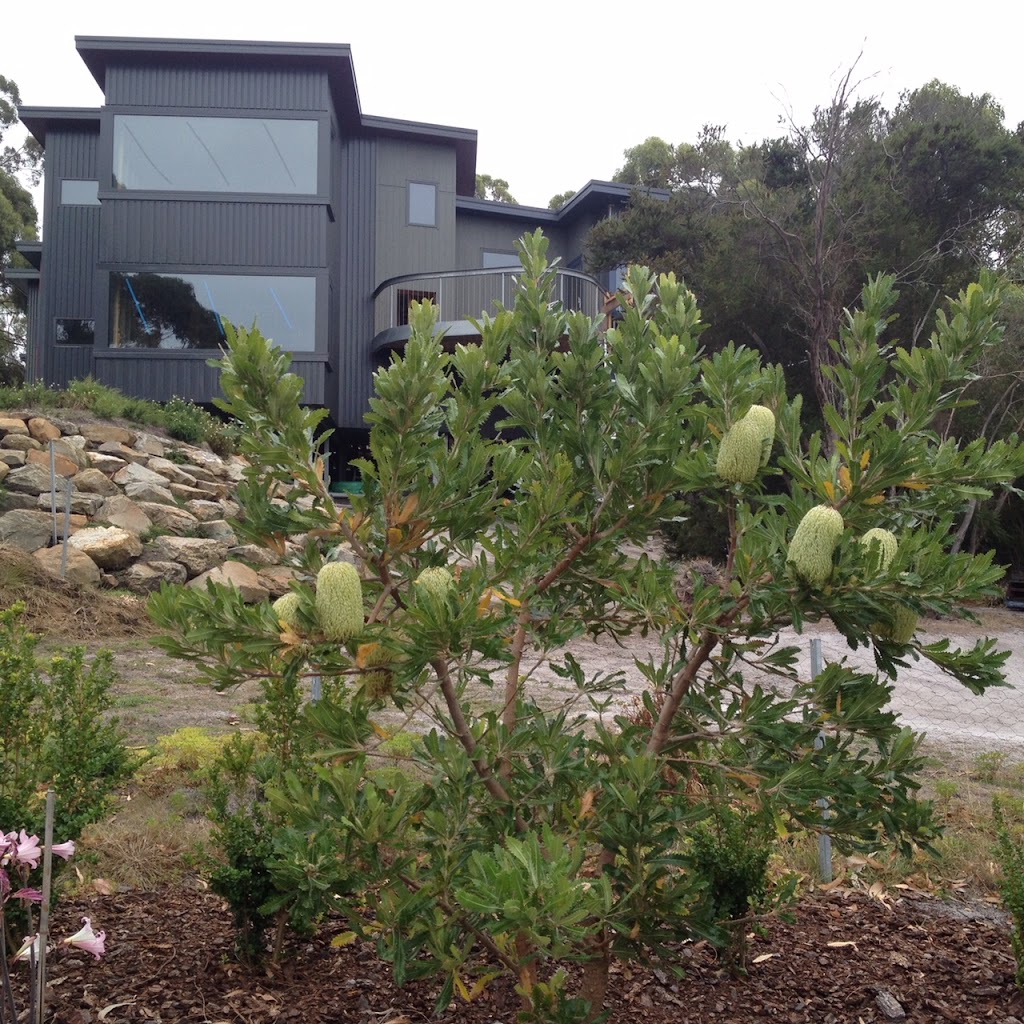 Faraway on Flinders Island | 53 Franklin Parade, Lady Barron TAS 7255, Australia | Phone: 0407 505 022
