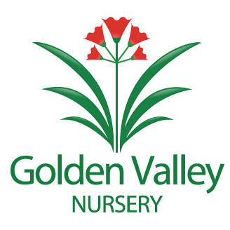 Golden Valley Nursery | 998 Mount Glorious Rd, Highvale QLD 4520, Australia | Phone: 0400 199 466