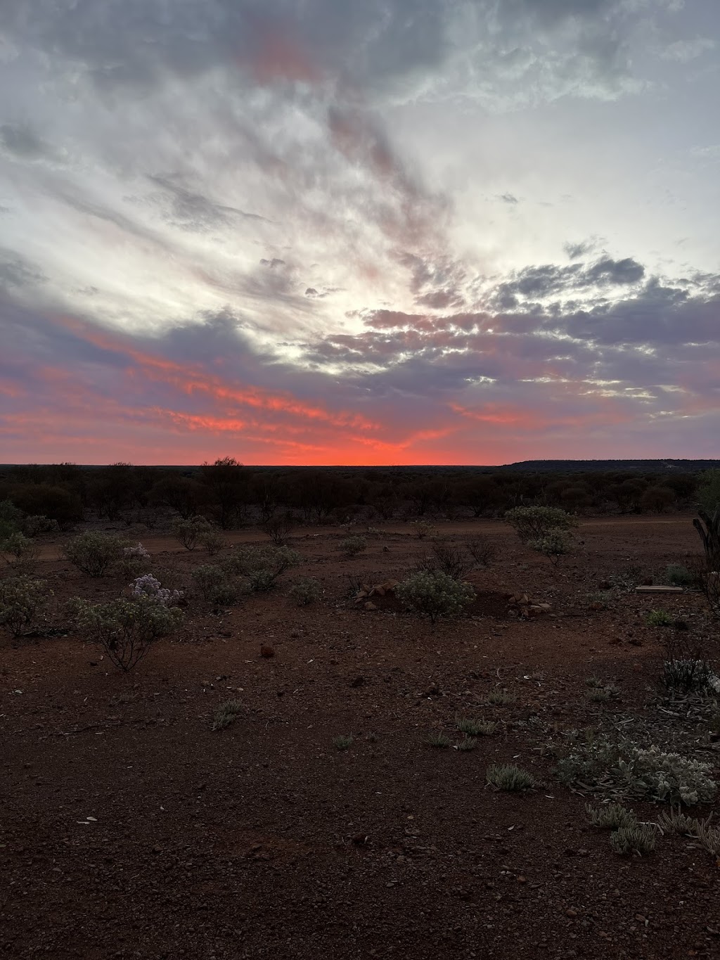 Jundee Mine Site | Wiluna WA 6646, Australia | Phone: (08) 9983 7000