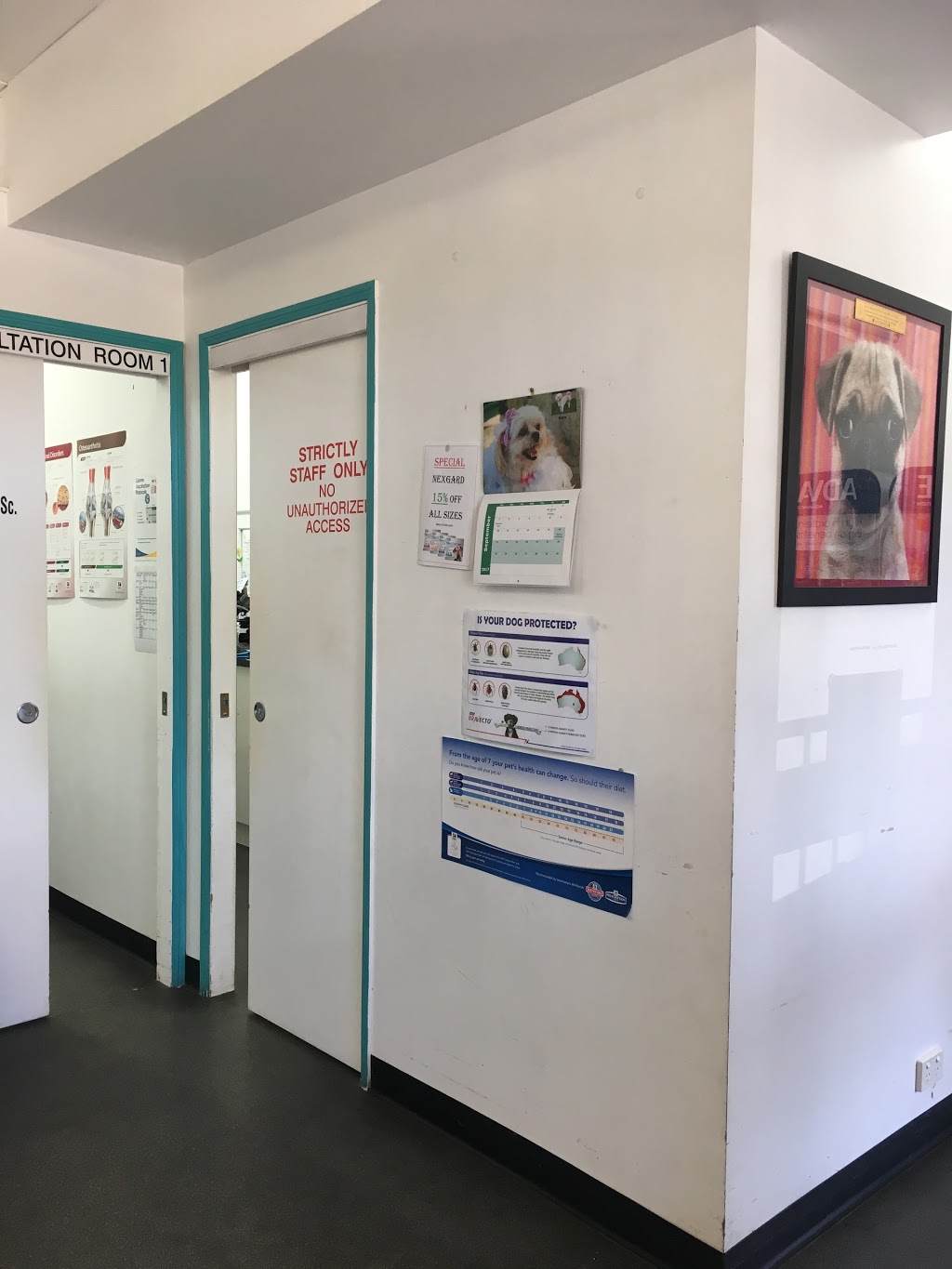 Furkids Veterinary Surgery | veterinary care | 11/2-8 Sheppards Dr, Greenbank QLD 4124, Australia | 0732000498 OR +61 7 3200 0498