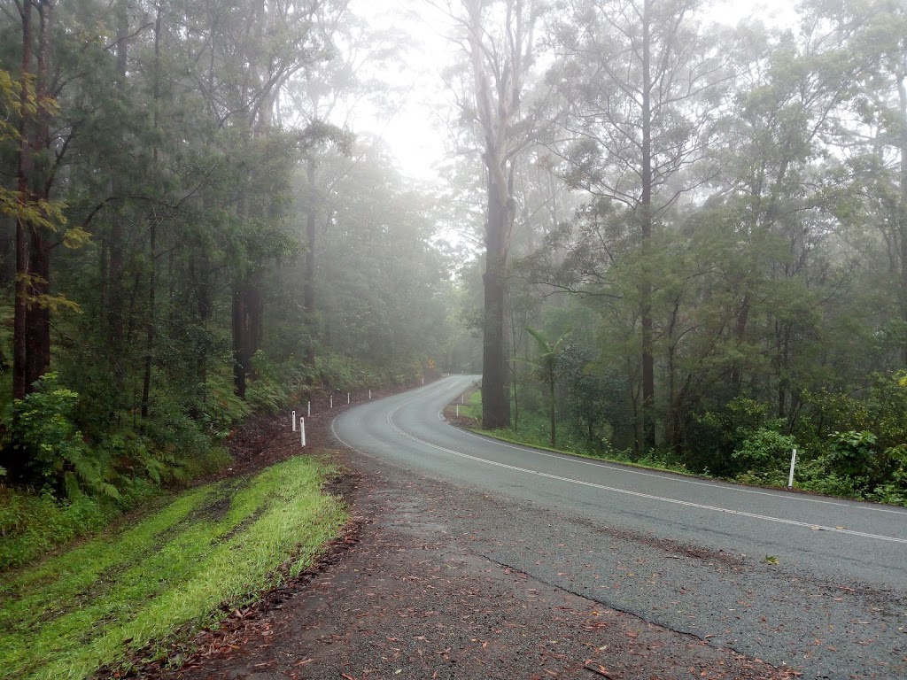 Bellthorpe National Park | park | Bellthorpe QLD 4514, Australia