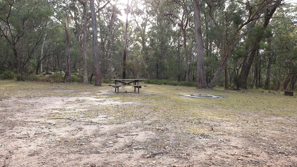 Lake Creek Camping Area | campground | Bourkes Rd, Wadbilliga NSW 2546, Australia