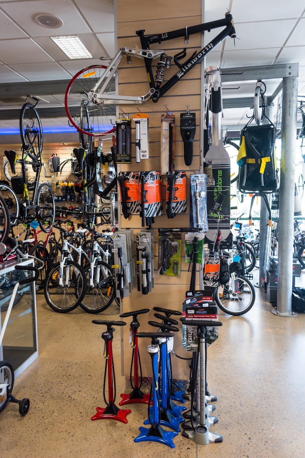 Bikes to Fit | bicycle store | 273 Bagot Rd, Coconut Grove NT 0810, Australia | 0889481128 OR +61 8 8948 1128