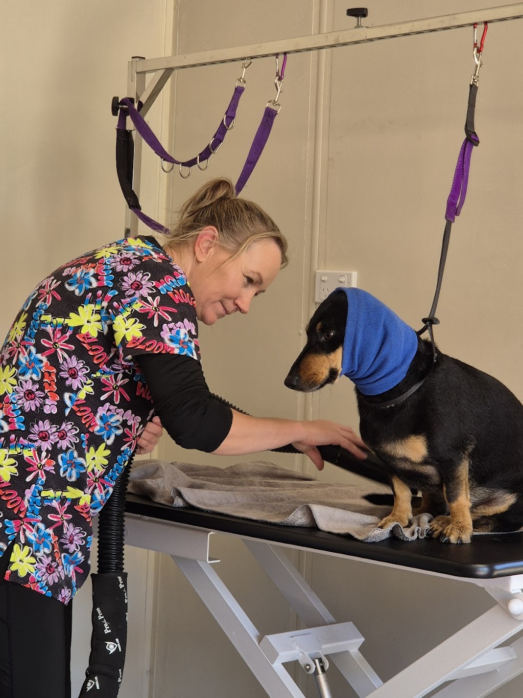 Barkin Bubbles Pet Services | 53 Back Ma Ma Rd, Winwill QLD 4347, Australia | Phone: 0447 639 953