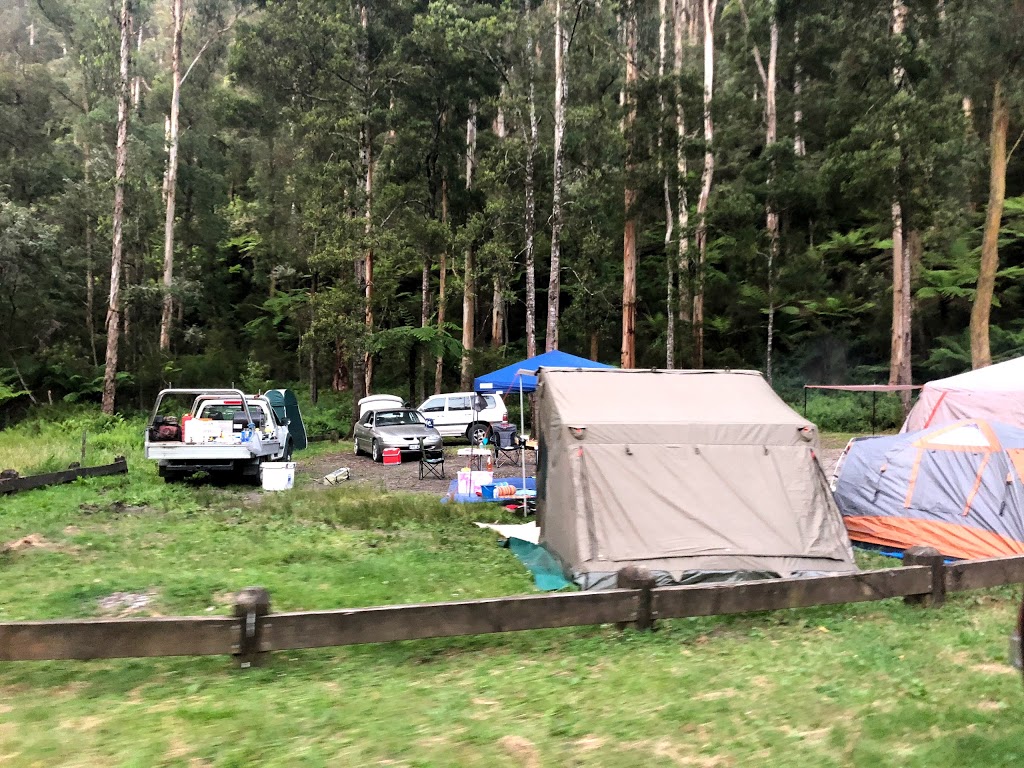Coopers creek campgrounds | Coopers Creek VIC 3825, Australia | Phone: 13 19 63