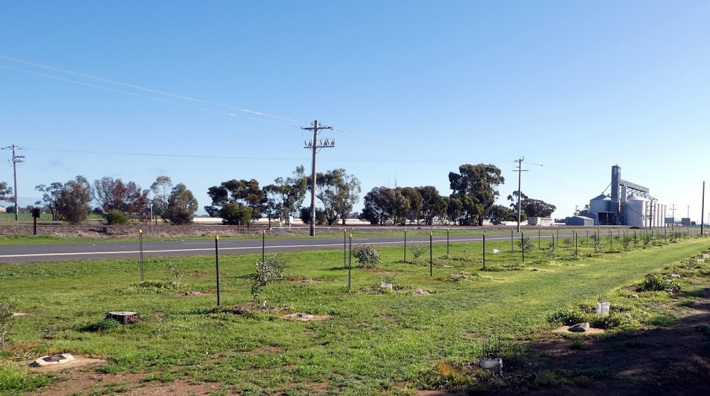 Lone Pine Memorial | park | Wycheproof VIC 3527, Australia