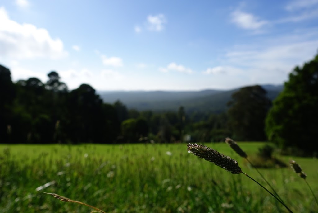 Kalorama Park | Kalorama VIC 3766, Australia