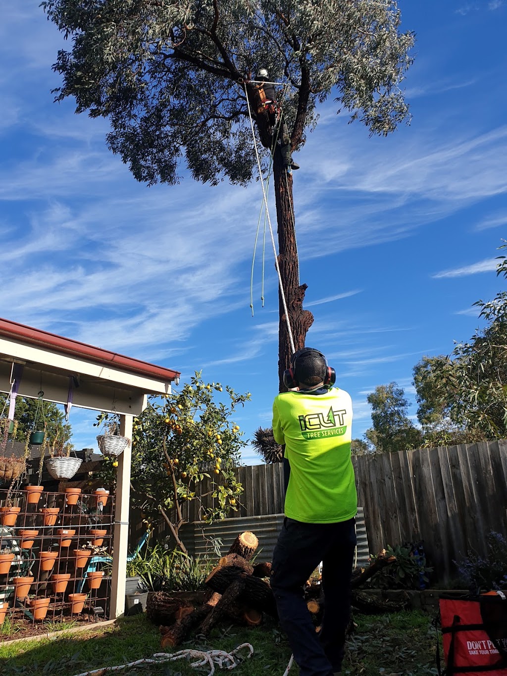 I Cut Tree Services | 18 Rowan Ave, Boronia VIC 3155, Australia | Phone: 0409 906 301