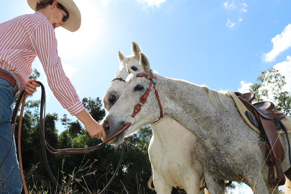 Stuart Clunes Equine Training |  | 70 Tarata Rd, Guanaba QLD 4210, Australia | 0402613046 OR +61 402 613 046