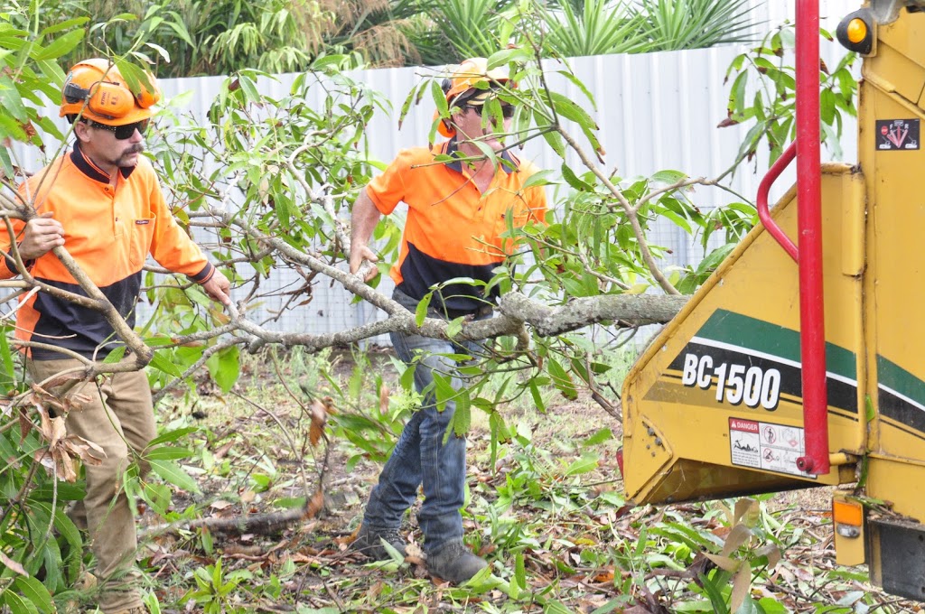 ADVANCED TREE CARE MACKAY PTY LTD | 4 Blue Gum Dr, Glenella QLD 4740, Australia | Phone: (07) 4942 8444