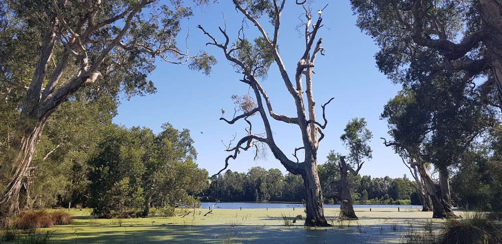 Seaham Swamp Nature Reserve | park | 4 Middle Cres St, Seaham NSW 2324, Australia